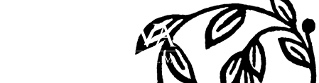 Olio Uva